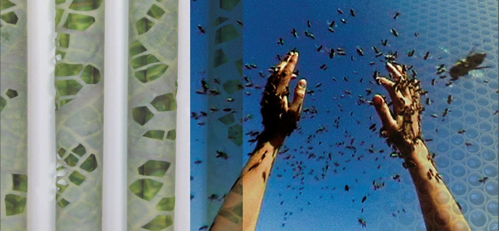 Jeanette Zippel-E-karte Kopie